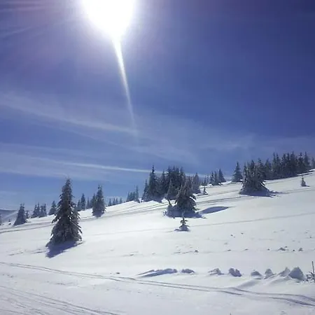 Апартаменты Nina Centar Копаоник